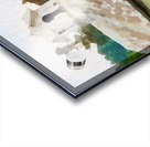 Cummington Barn Roofs Acrylic print
