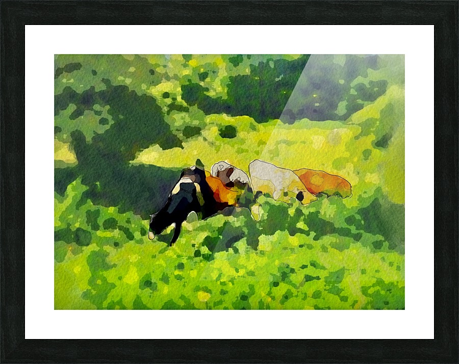Cummington Cows Picture Frame print