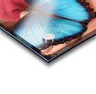 Butterfly Acrylic print