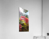 my red flower Acrylic Print