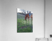 new life Acrylic Print