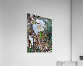  Almond blossoms Acrylic Print