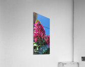 the fall Acrylic Print