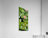 Sea flowers Acrylic Print