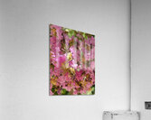 antique pink Acrylic Print
