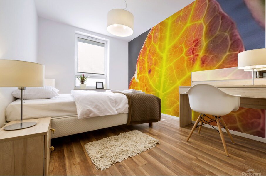 gold leaf Mural print