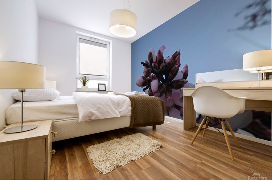 almonds Mural print