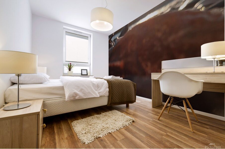 blue sea Mural print