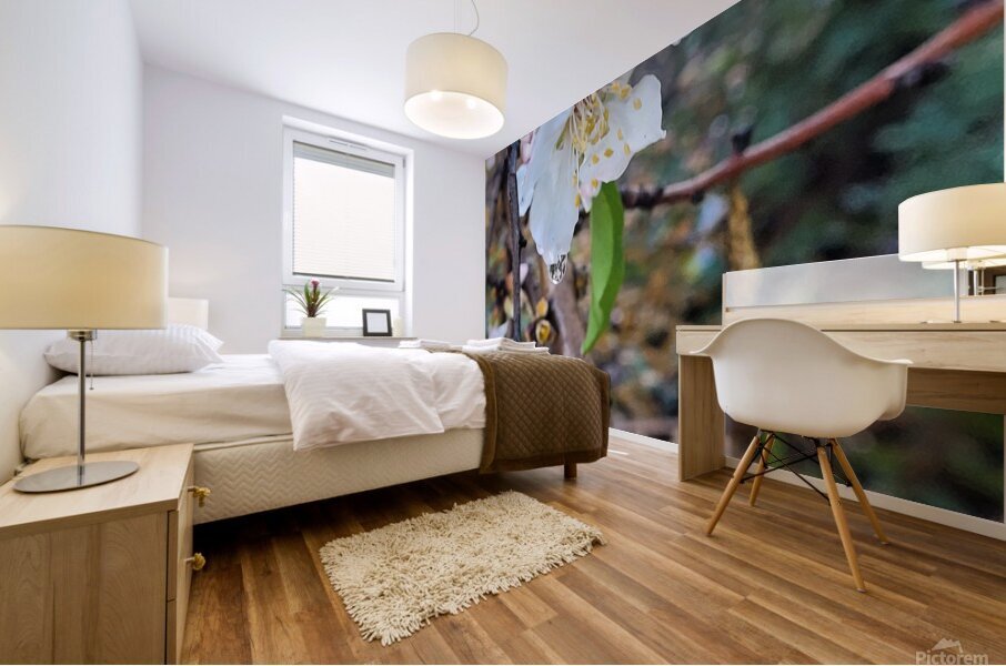  Almond blossoms Mural print