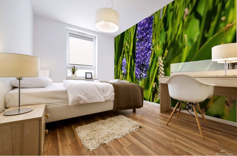 wild field Mural print
