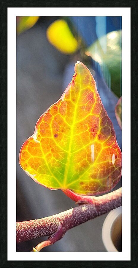 gold leaf Picture Frame print