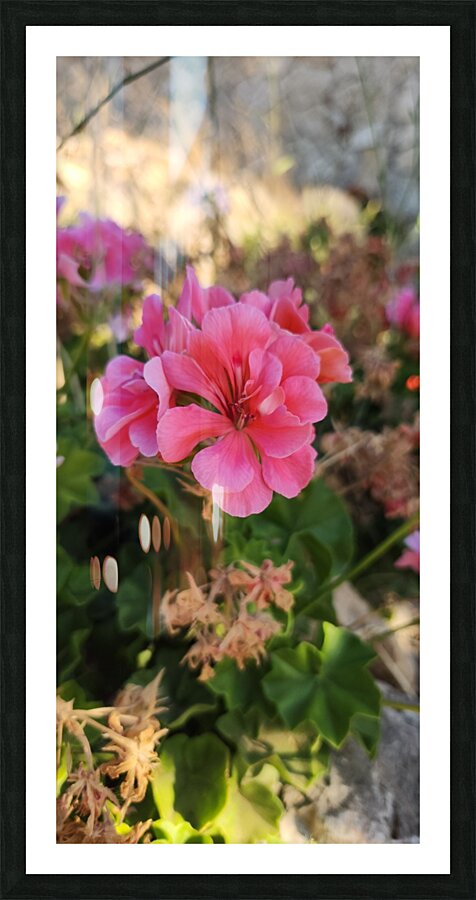red love Picture Frame print