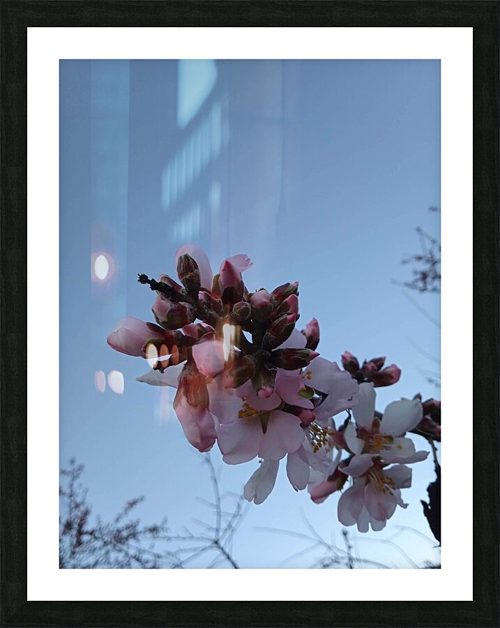 almonds Picture Frame print