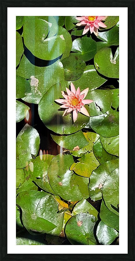 Sea flowers Picture Frame print