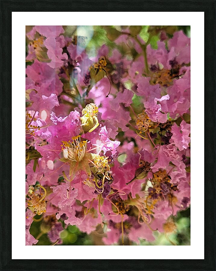 antique pink Picture Frame print