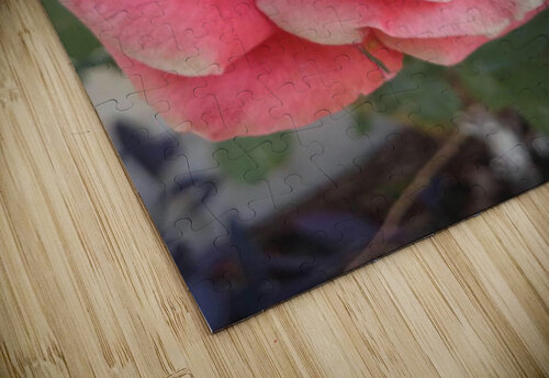 Side view Or puzzle