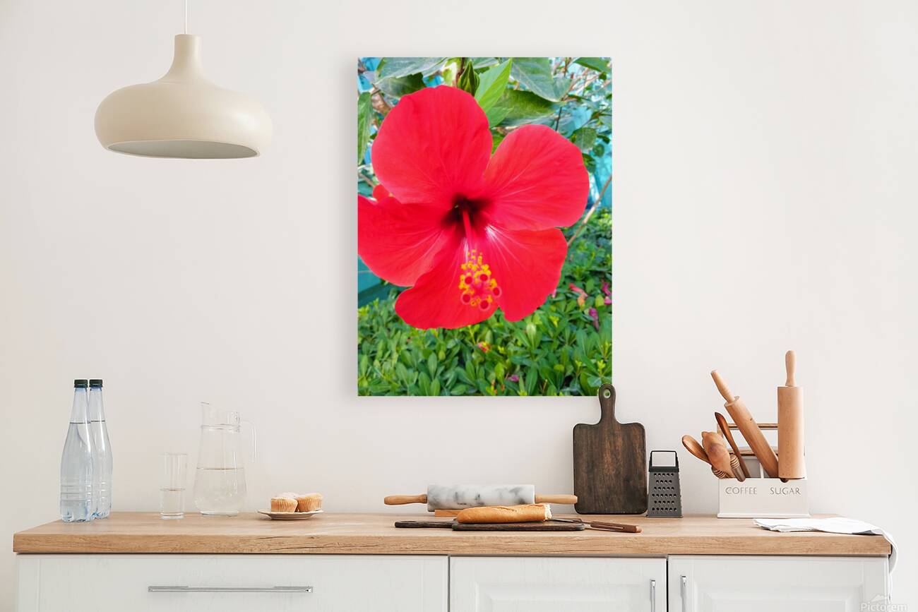 The flower effect Reproduction