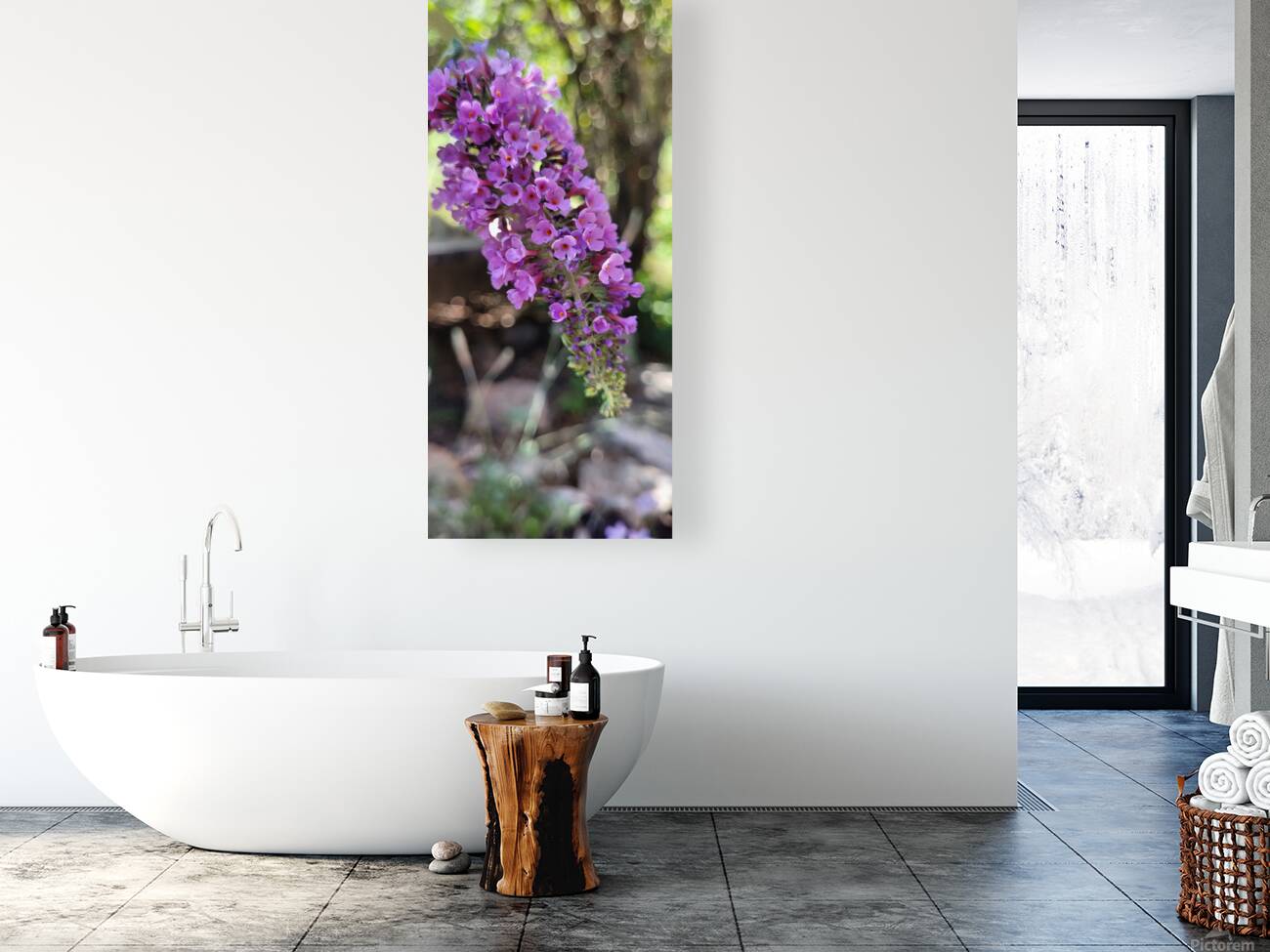 lilac Reproduction