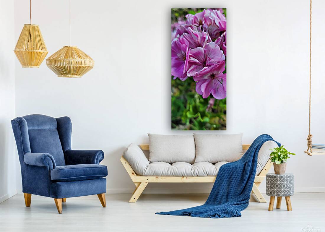 Purple flowers Reproduction