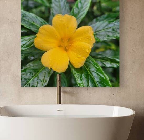 the golden flower by Or