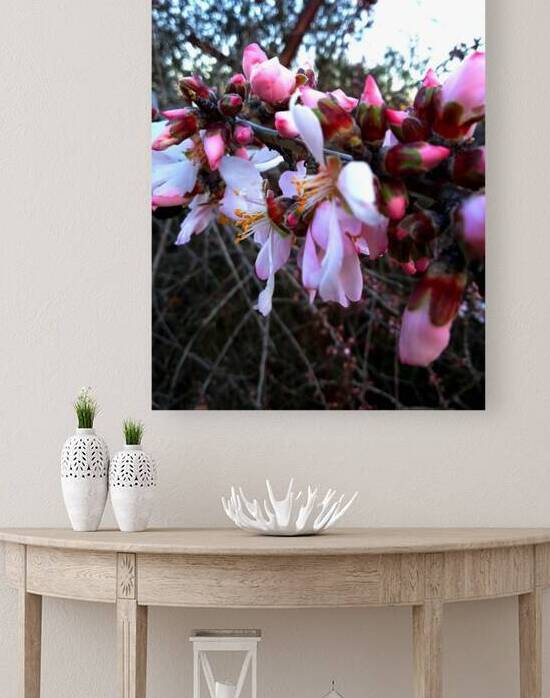 Autumn blossoms by Or