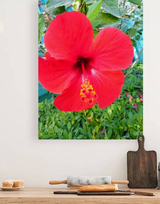 The flower effect by Or