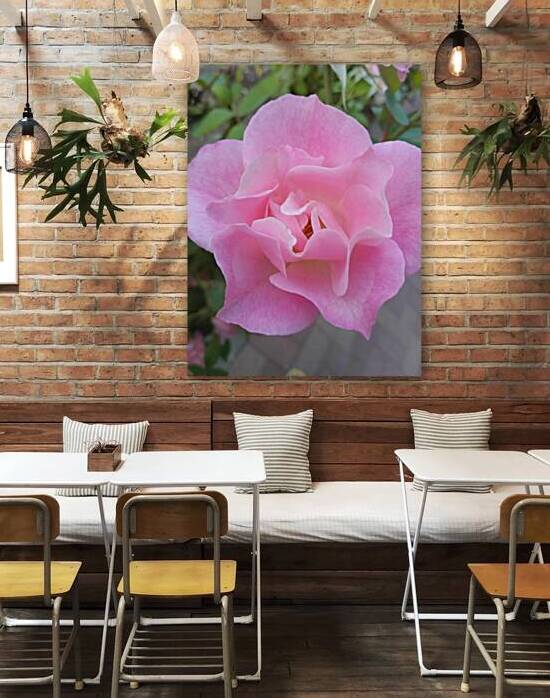 love flowers by Or