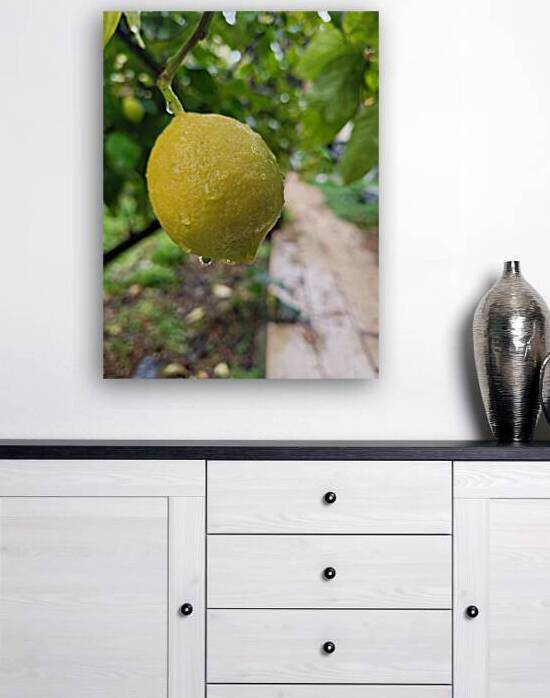 Sour lemon by Or