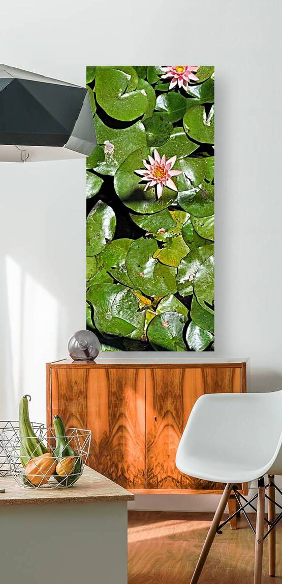 Sea flowers by Or