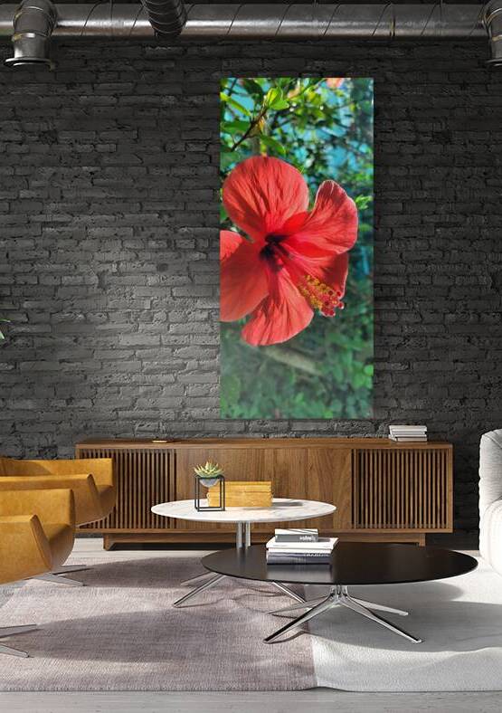 Flowering by Or
