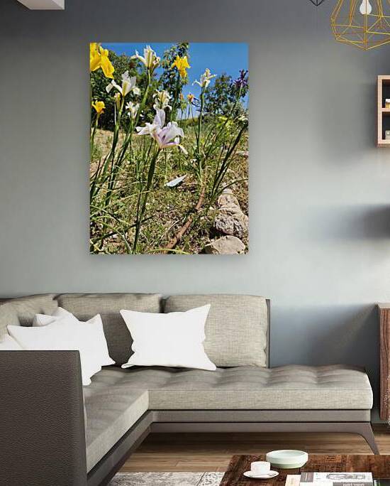 field of flowers by Or