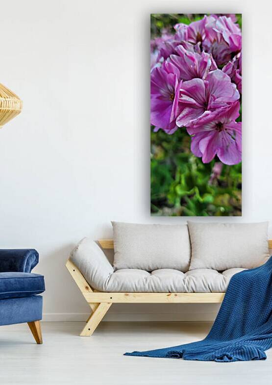 Purple flowers by Or