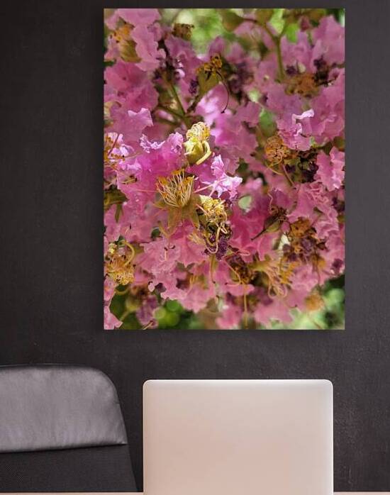 antique pink by Or