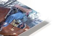 new life HD Metal print