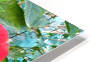 The flower effect HD Metal print