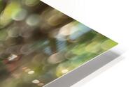 lilac HD Metal print