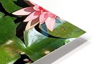 Sea flowers HD Metal print