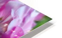 Purple flowers HD Metal print