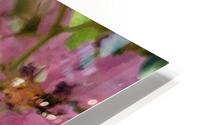 antique pink HD Metal print