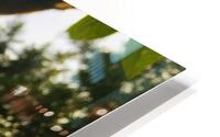 celebration HD Metal print