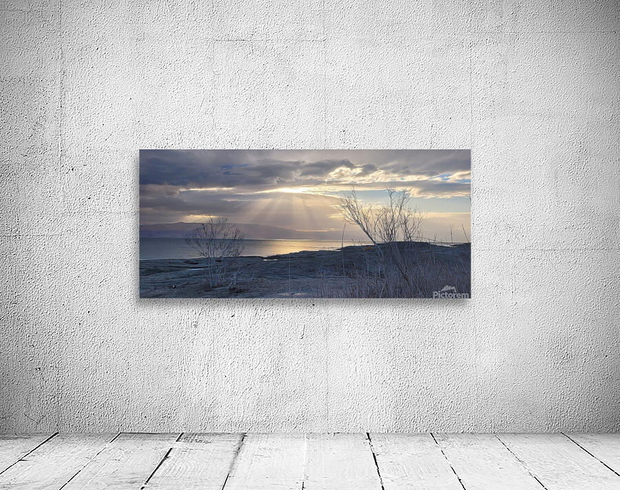Sun rays Wall Preview