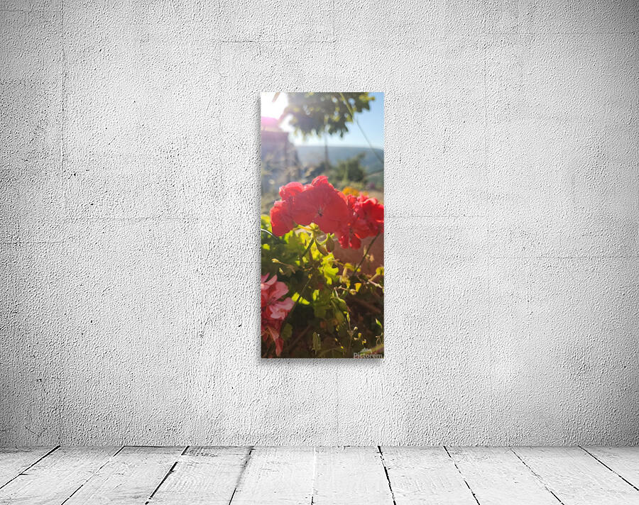 my red flower Wall Preview