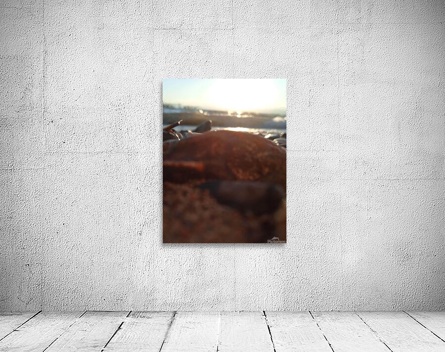 blue sea Wall Preview