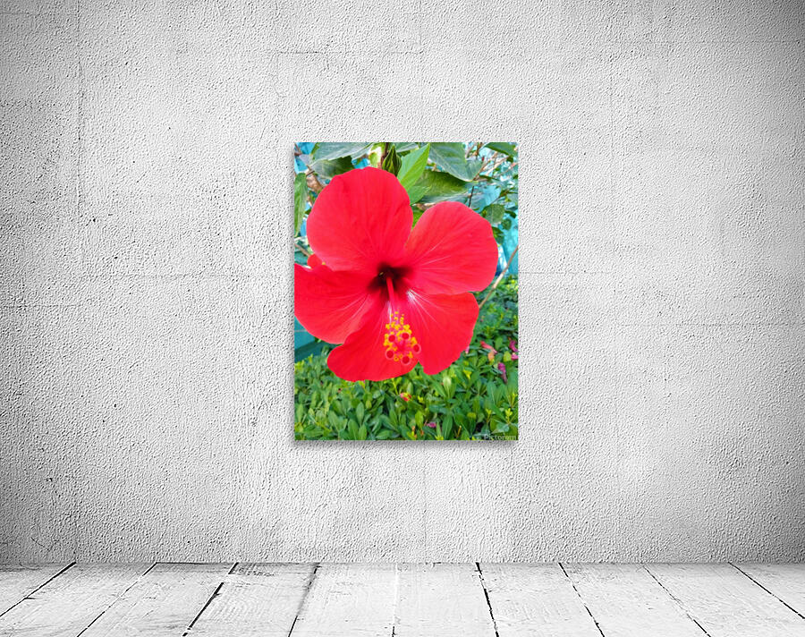 The flower effect Wall Preview