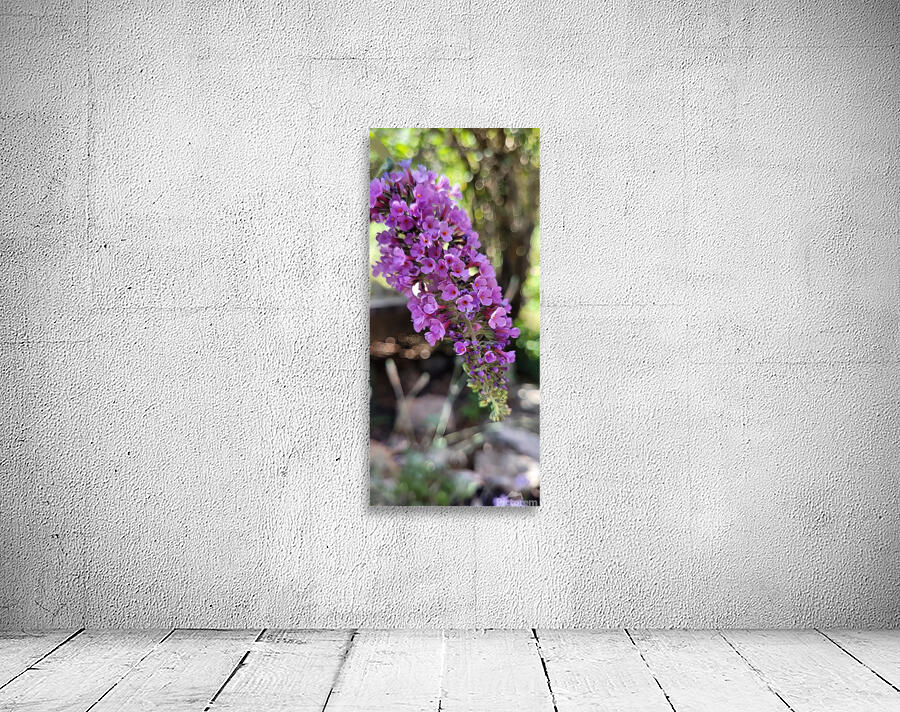lilac Wall Preview