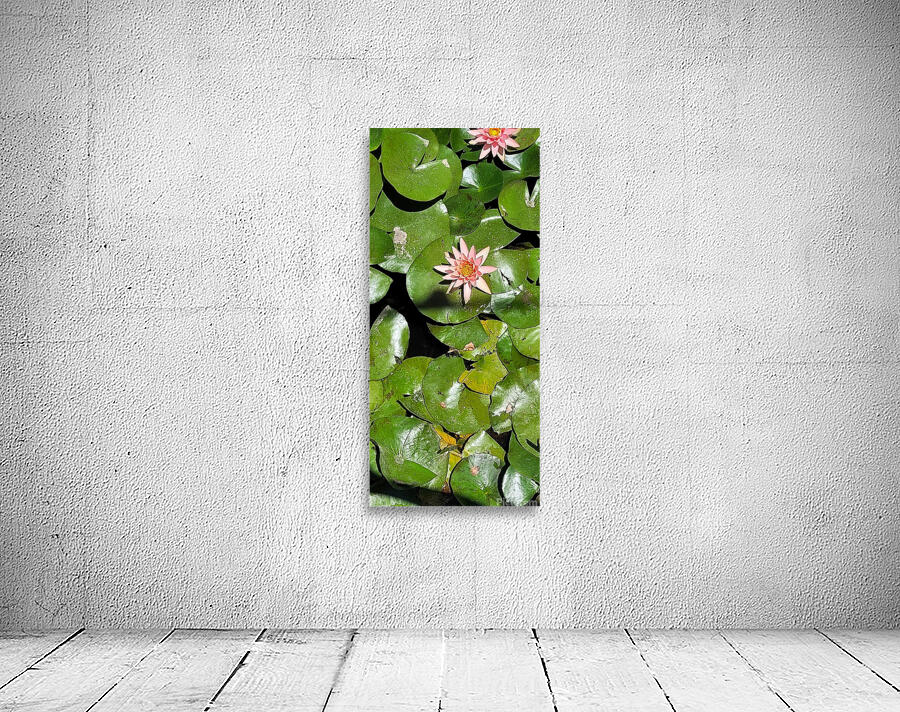 Sea flowers Wall Preview