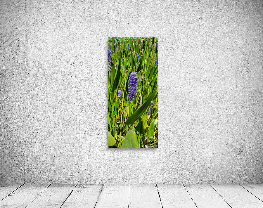 wild field Wall Preview