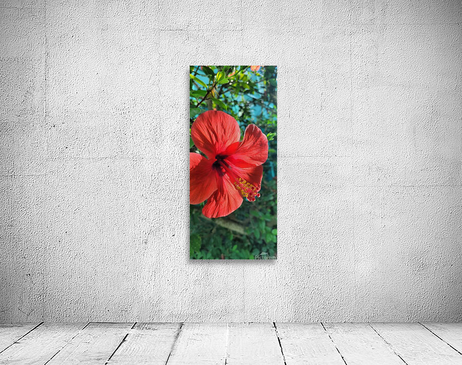 Flowering Wall Preview