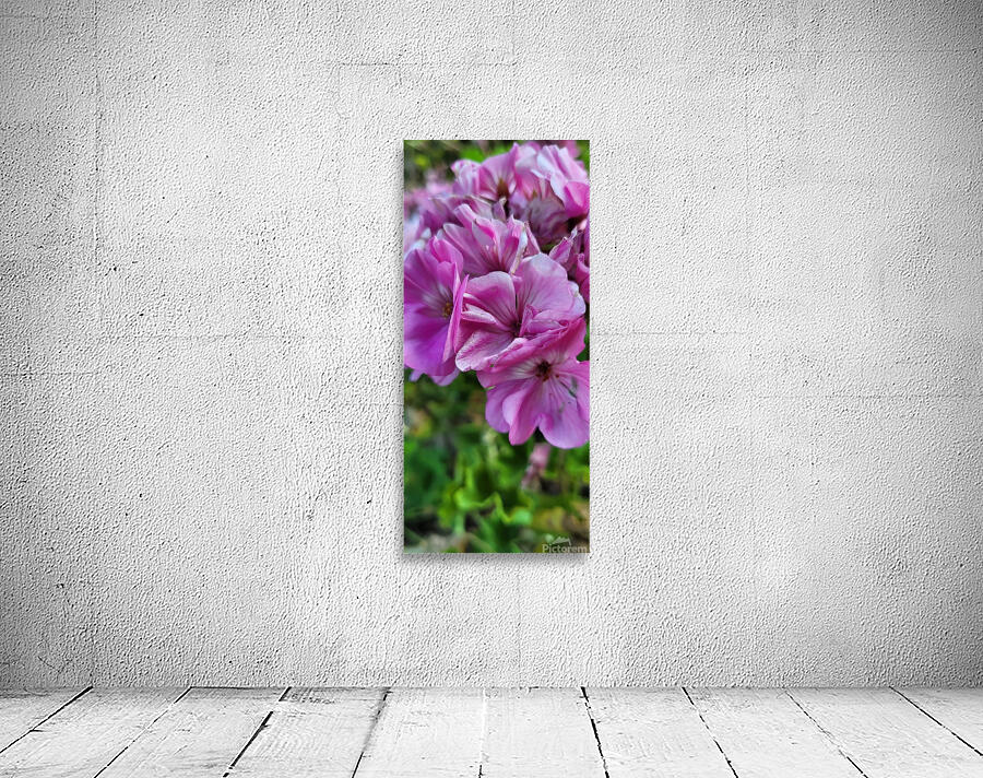 Purple flowers Wall Preview