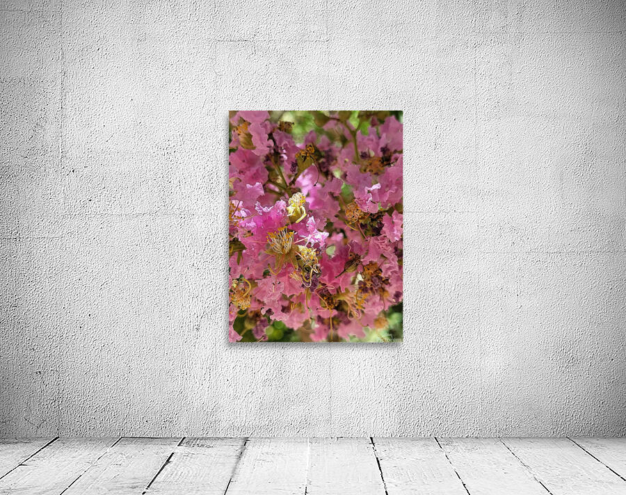 antique pink Wall Preview